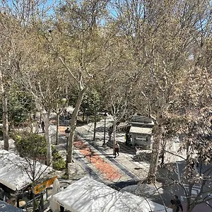 Zurita Granada